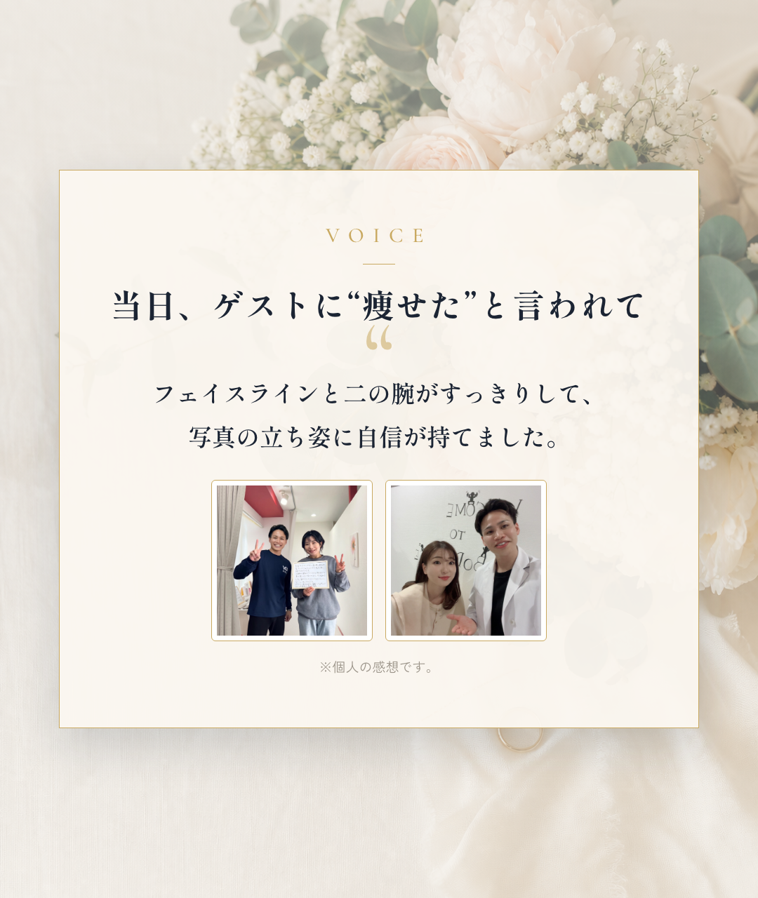 voice